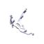 Picture of 2087334013
